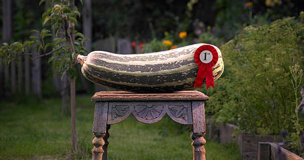 بهترین نرم افزار مدیریت کارجویان شغلی چه ویژگیهایی دارد؟