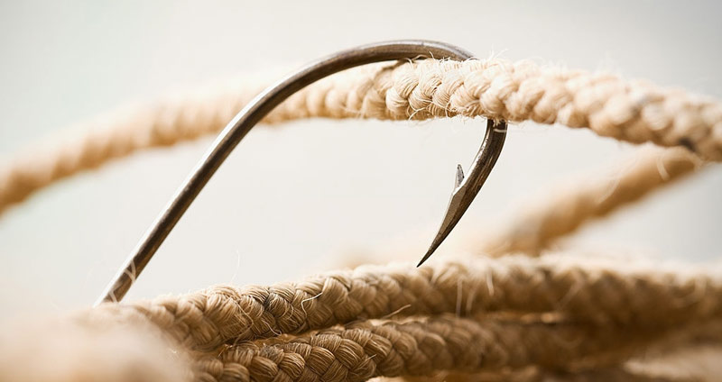 رشته‌های مورد نیاز امریه وزارت علوم شامل شامل طیف وسیعی از انواع دانش‌آموختگان می‌شود.