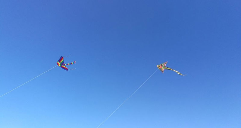 اعتماد رئیستان را جلب کنید