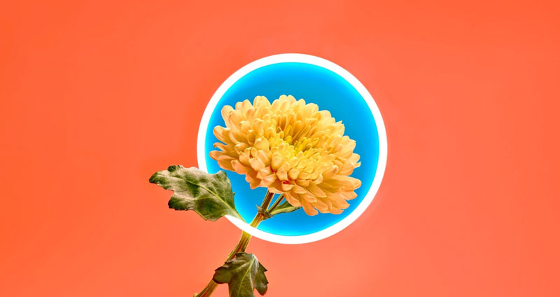 نکاتی برای حفظ تفکر مثبت