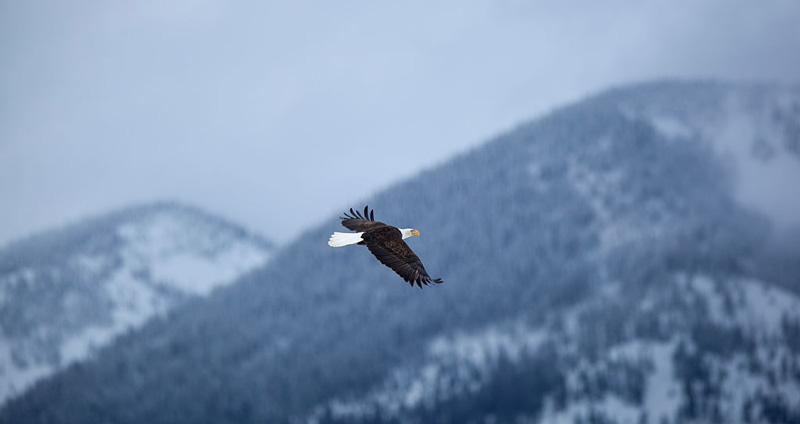 رهبری اخلاقی- شجاعت نشان دهید