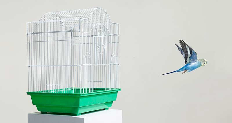 برای رفتن آماده شوید- مهارت بیش از حد در کار