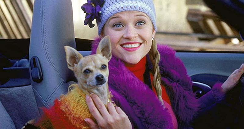 فیلم های الهام بخش - قانوناً بلوند (Legally Blonde)
