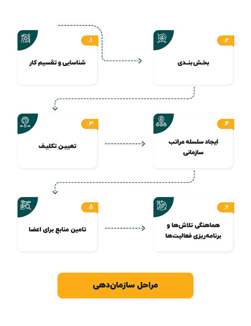 مراحل سازماندهی