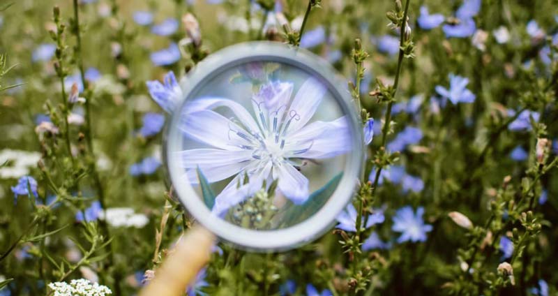 در رزومه کاری چه بنویسیم - برجستهسازی سوابق کاری مرتبط