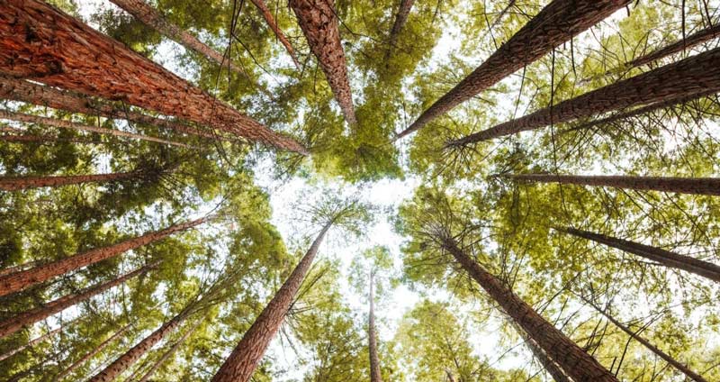 یادگیری و رشد را در اولویت قرار دهید