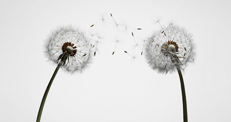 ارتباط سازمانی چیست؟