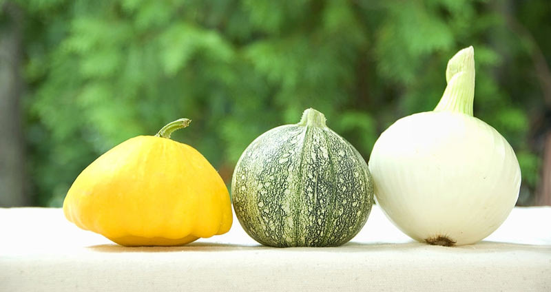 کشاورزی - عنوان شغلی رزومه