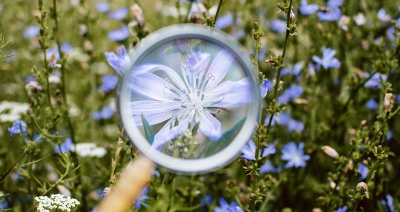 برجسته کردن مهارتهای خدمات مشتری در فرایند استخدام و محل کار