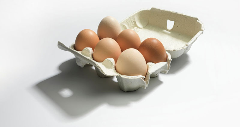 انواع سوبسید ها