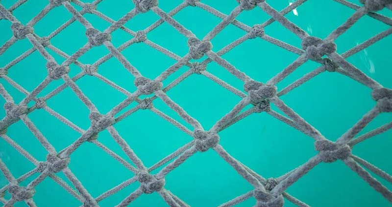 شبکهسازی- کار فصلی