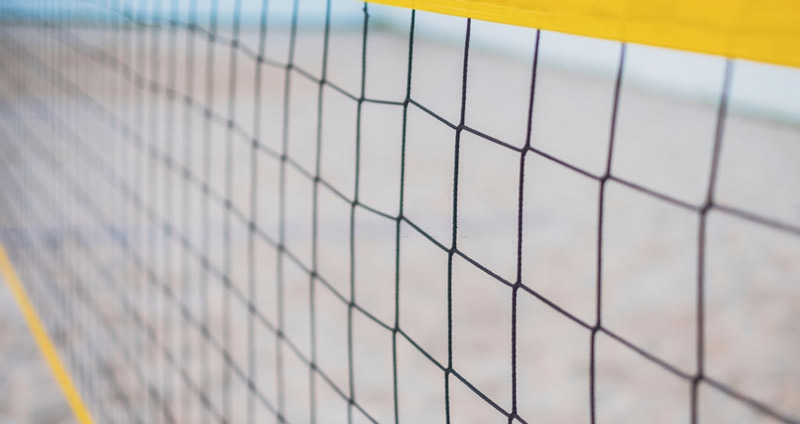 مرزهای تیم- دامهای شفافیت