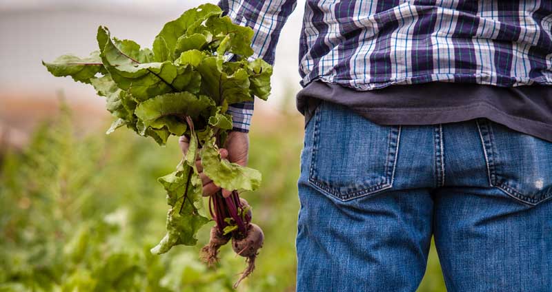 مدیریت دانش به مدیران دانش نیاز دارد