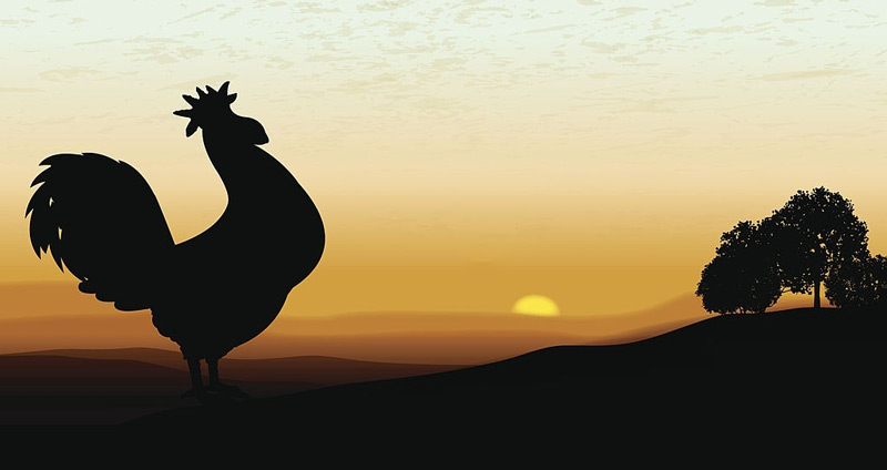 عادت در محیط کار- حفظ روال روزانه