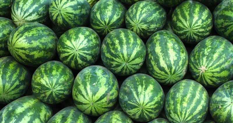 وظایف تکراری